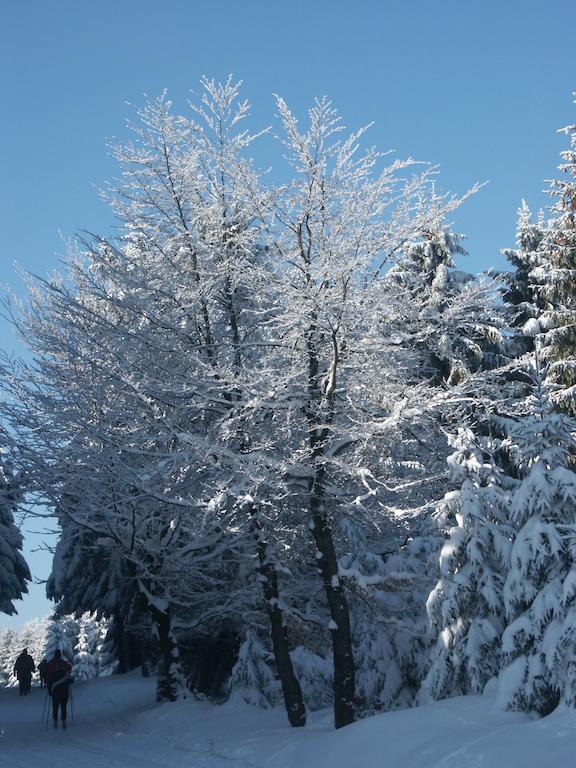 Apartmán Haus Hinzberg Oberhof  Pokoj fotografie